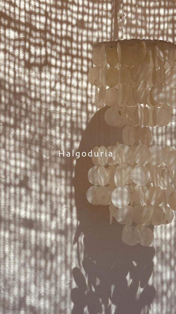 Halgoduria