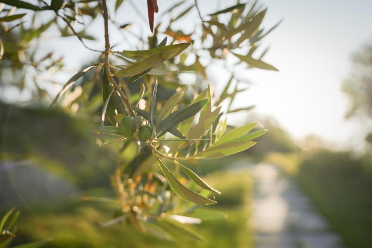 Hang Loose Cottage Hotel & Resort 4 stelle Gizzeria Calabria