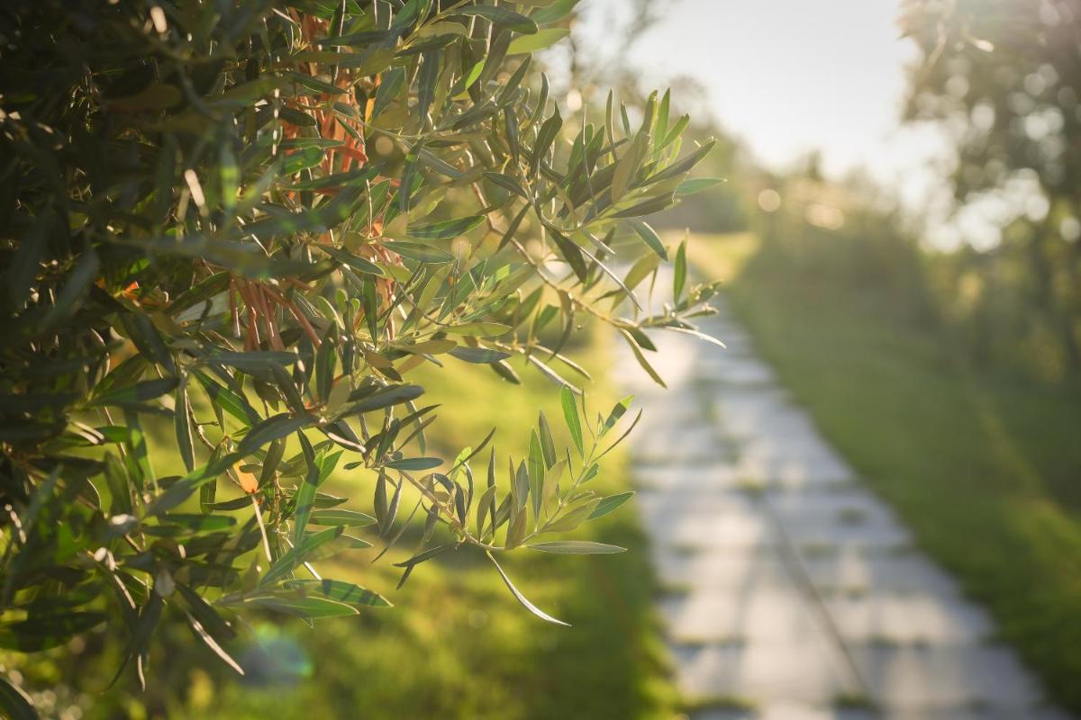 Hang Loose Cottage Hotel & Resort 4 stelle Gizzeria Calabria