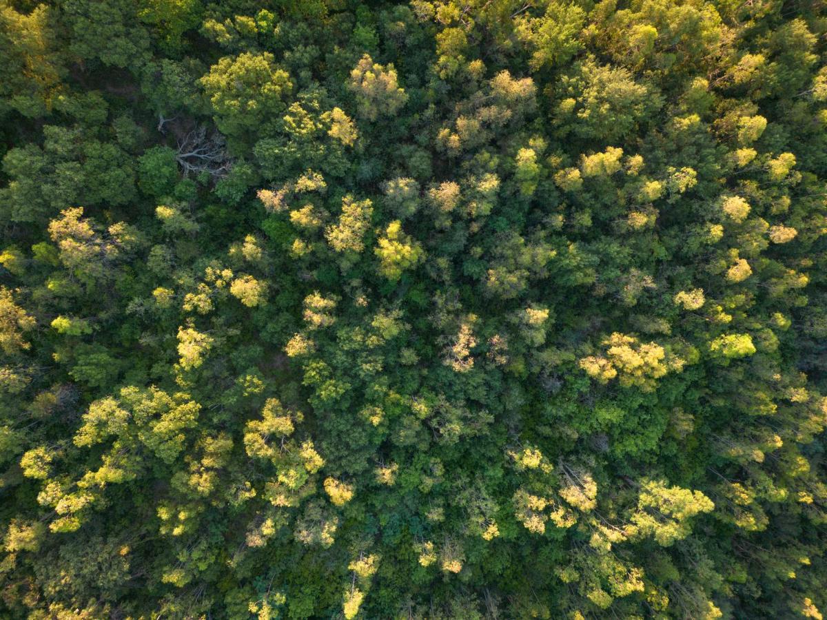 Hang Loose Cottage Hotel & Resort 4 stelle Gizzeria Calabria