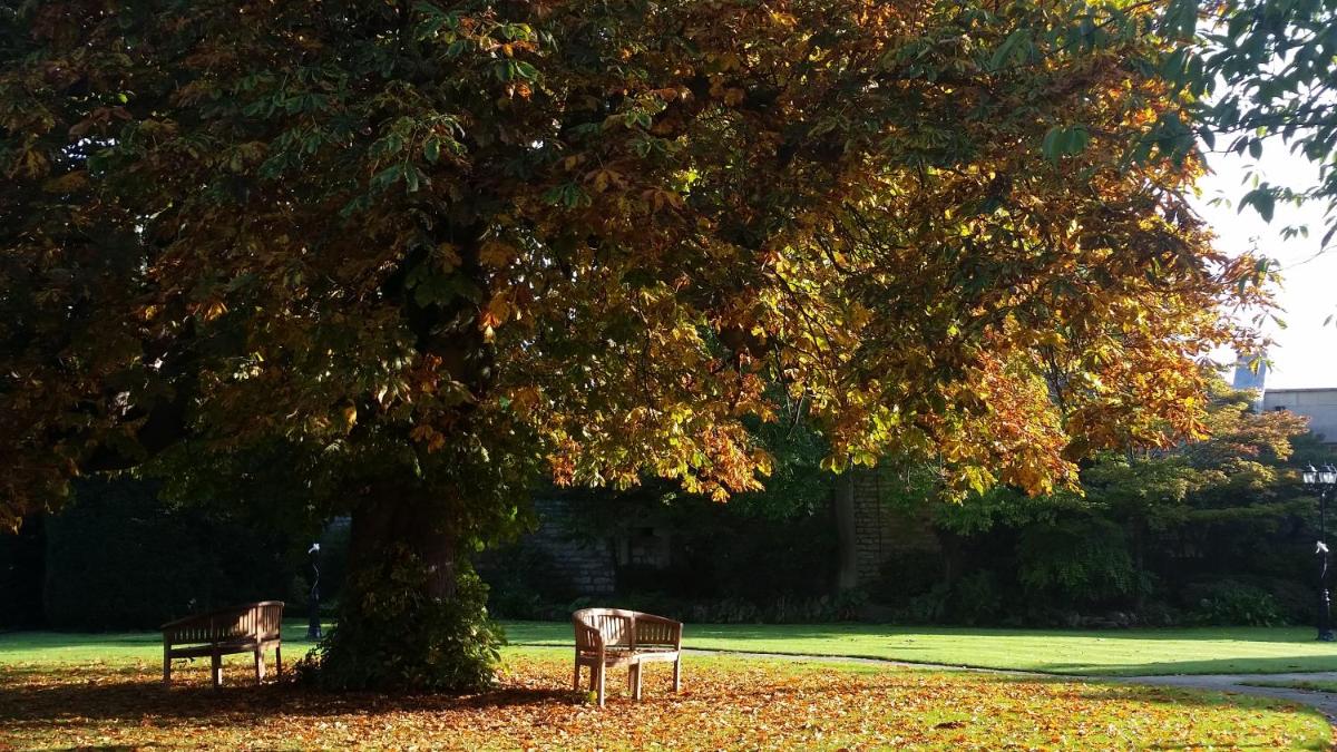 Hazlewood Castle & Spa