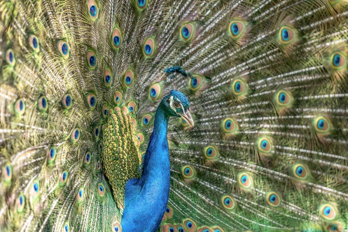 Hazlewood Castle & Spa