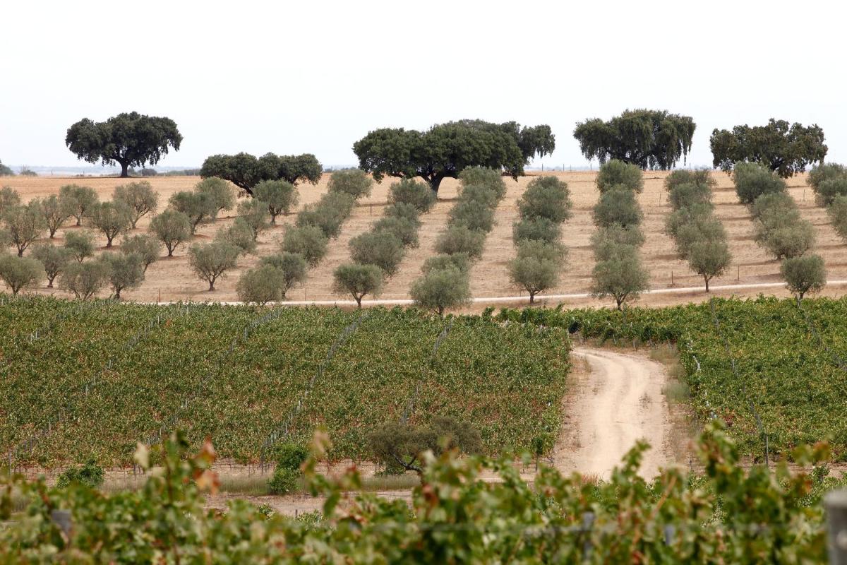 Herdade da Malhadinha Nova - Relais & Châteaux