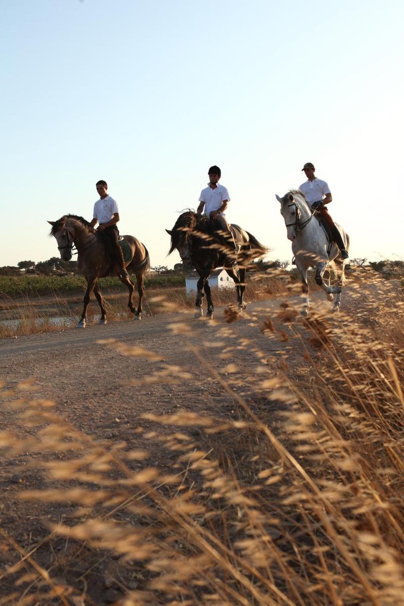 Herdade da Malhadinha Nova - Relais & Châteaux