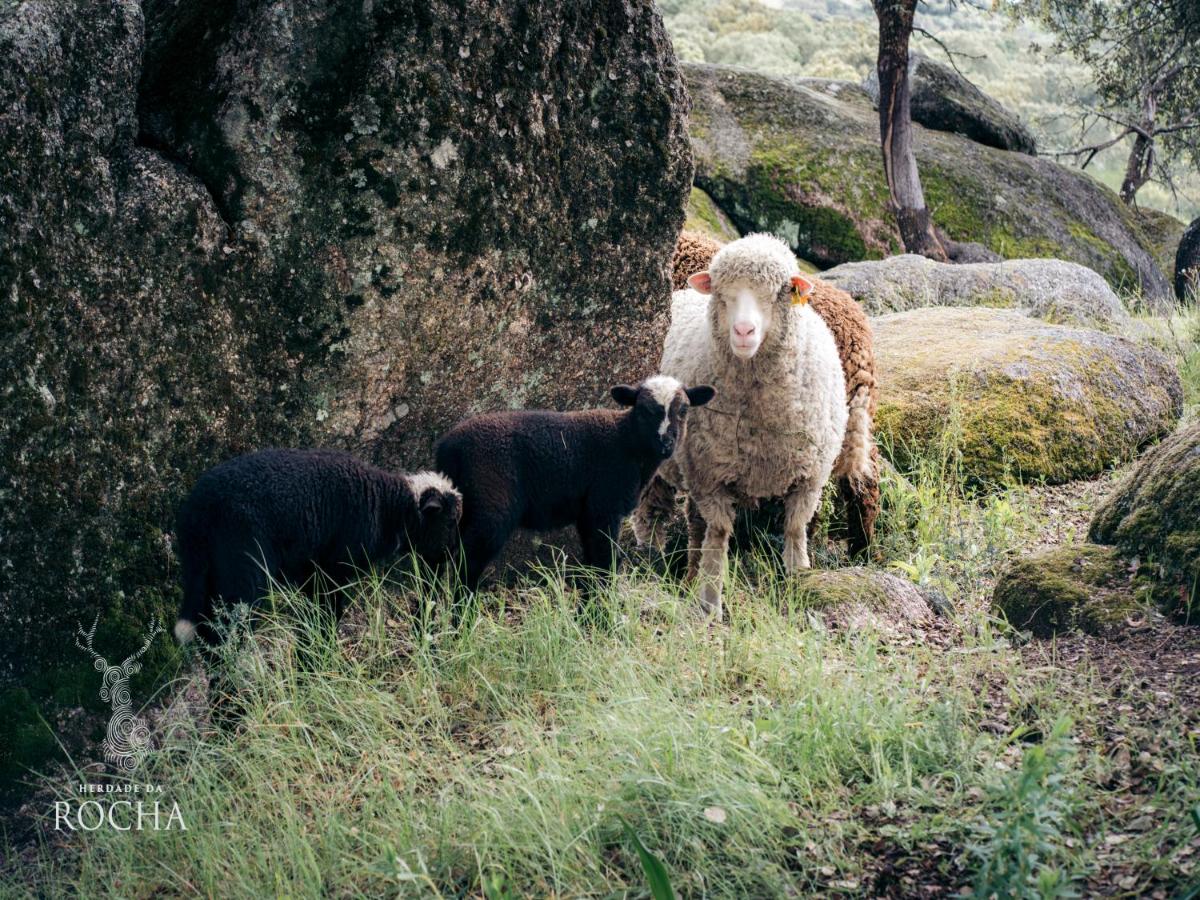 Herdade da Rocha - Boutique Lodge