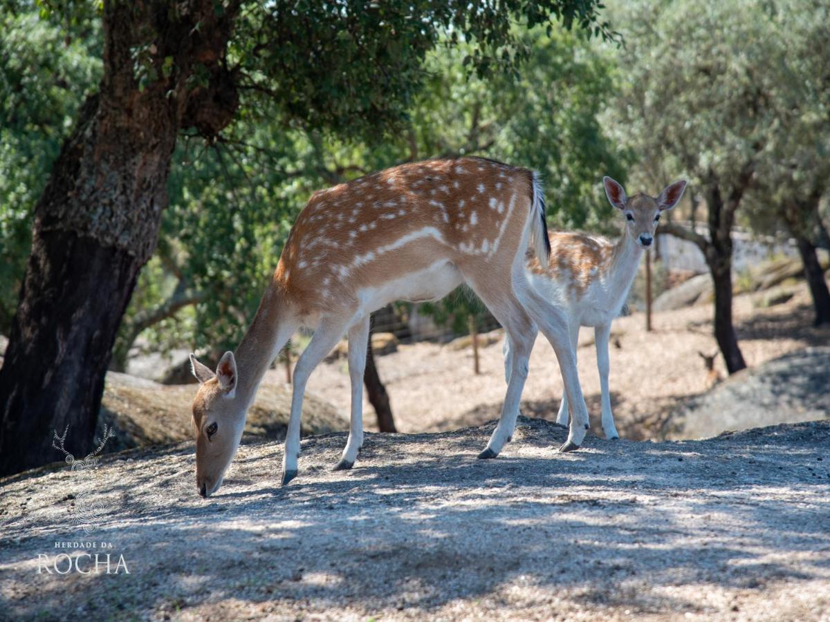 Herdade da Rocha - Boutique Lodge