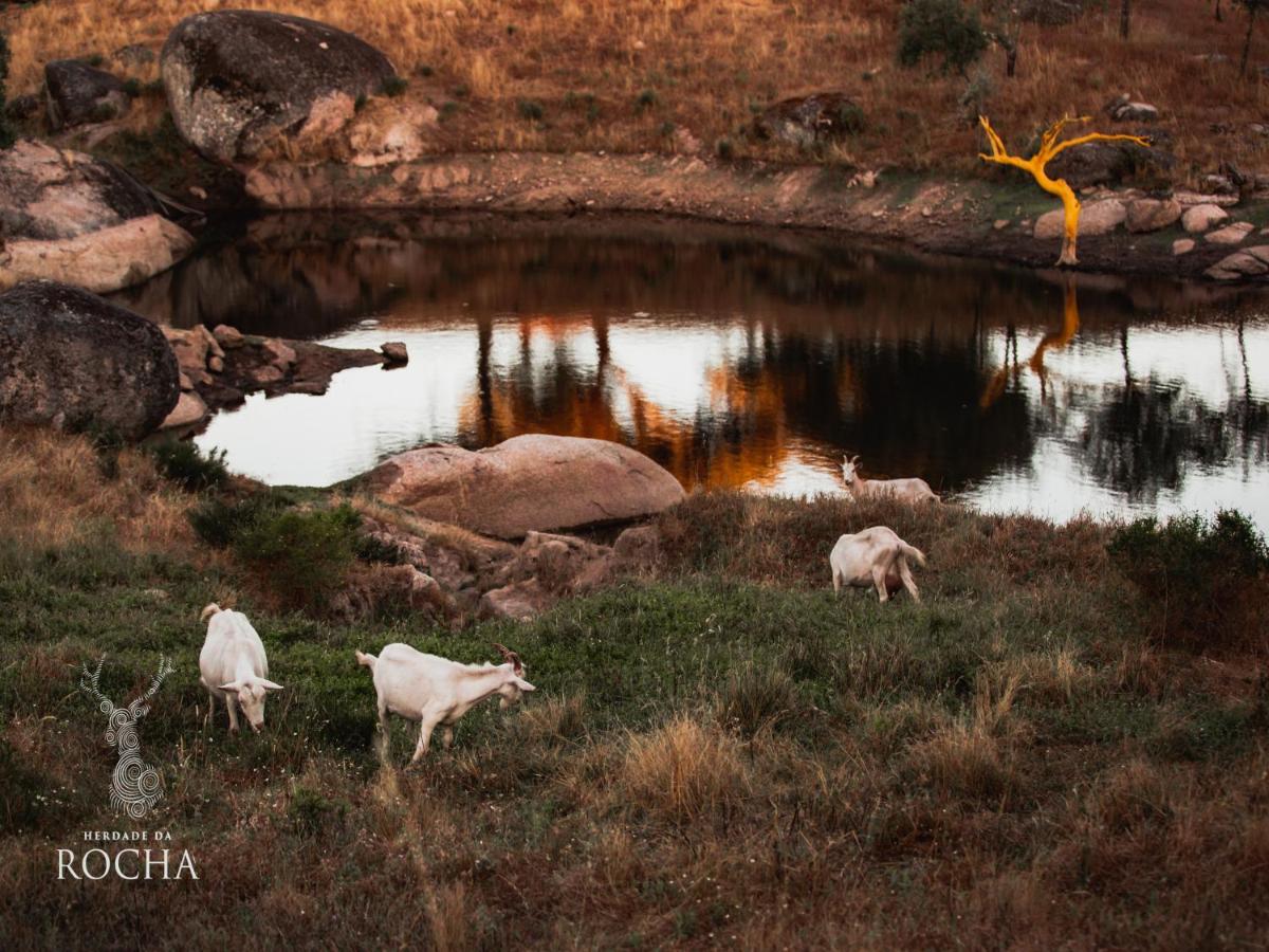 Herdade da Rocha - Boutique Lodge