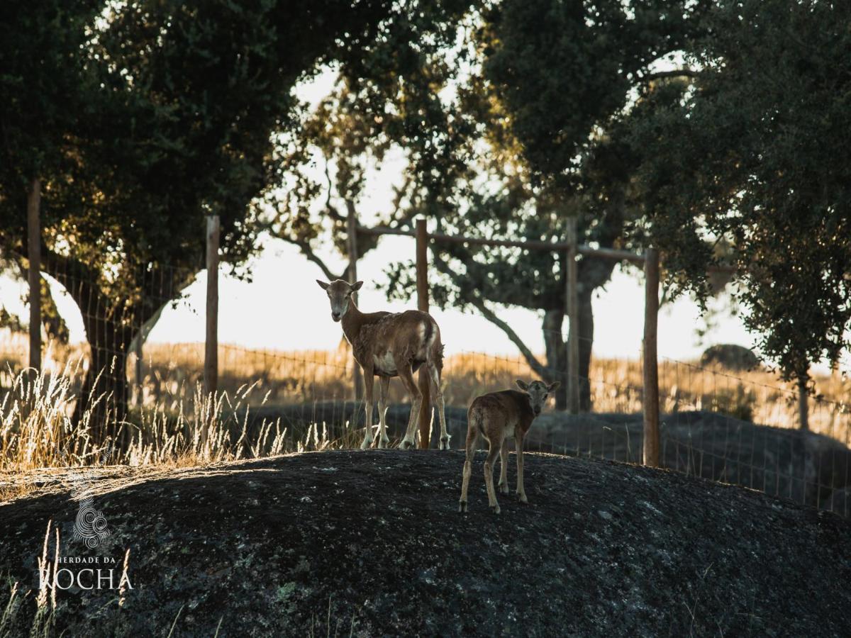 Herdade da Rocha - Boutique Lodge