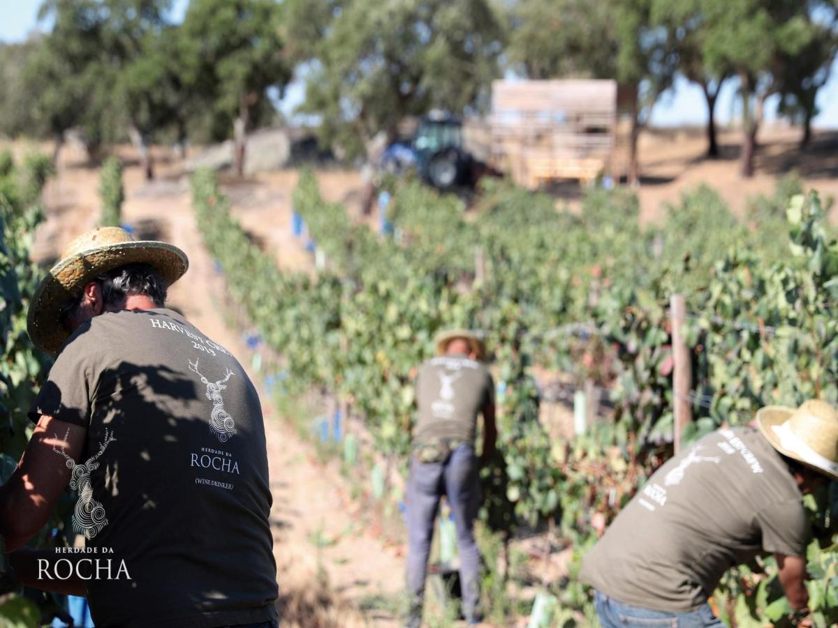 Herdade da Rocha - Boutique Lodge