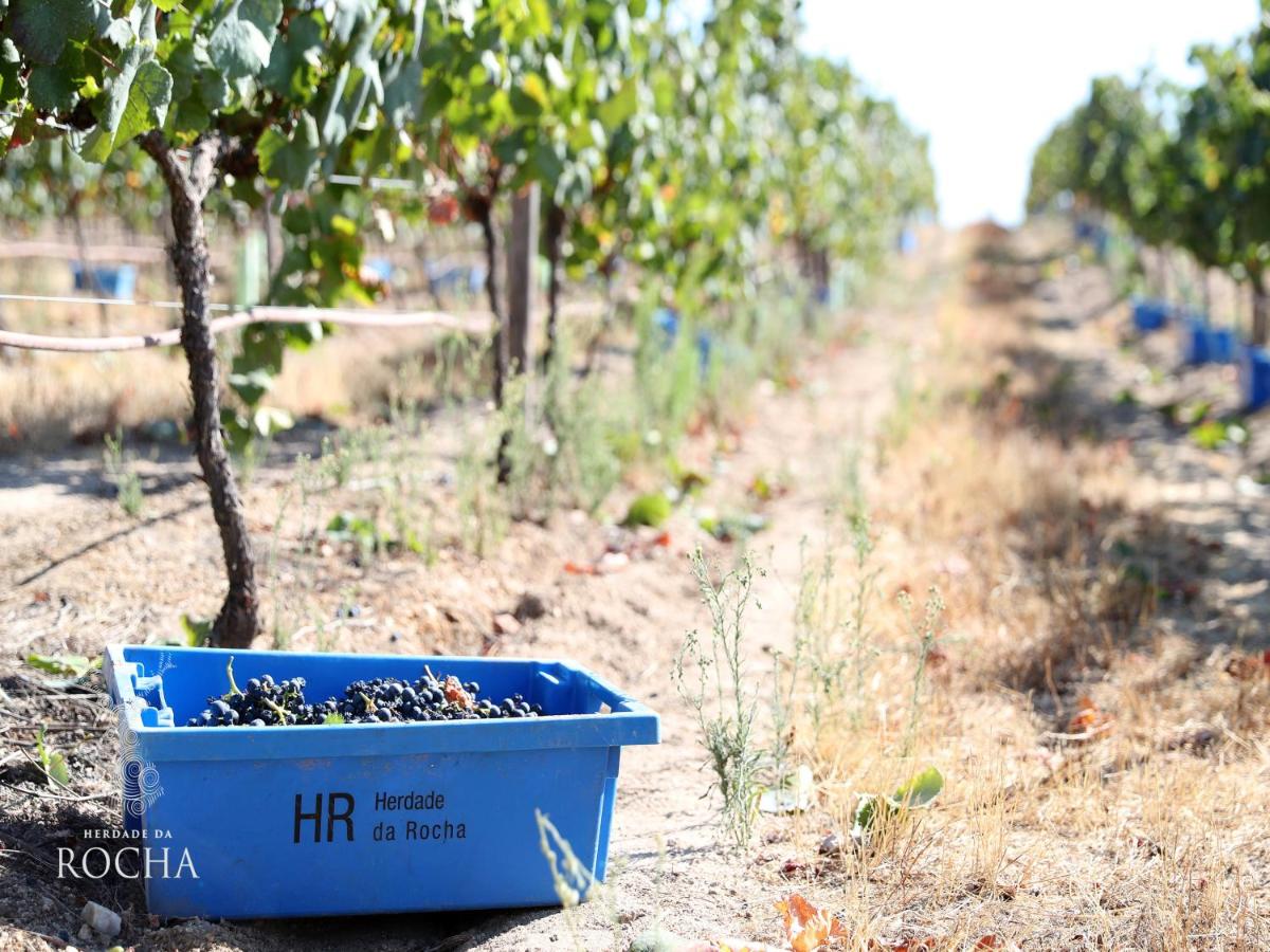 Herdade da Rocha - Boutique Lodge