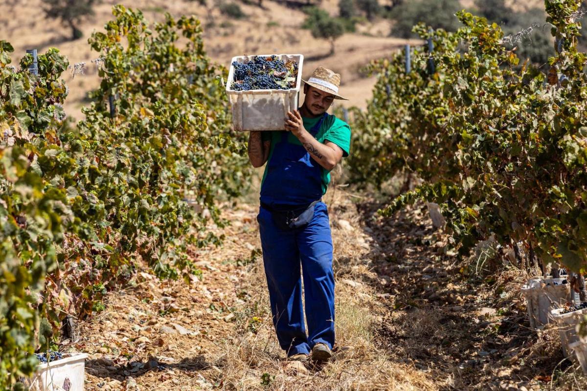 Herdade do Sobroso Wine Luxury Hotel & Villas