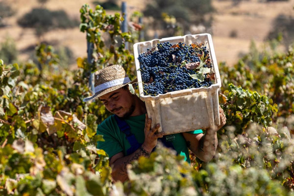 Herdade do Sobroso Wine Hotel & Villas - Small Luxury Hotels of the World