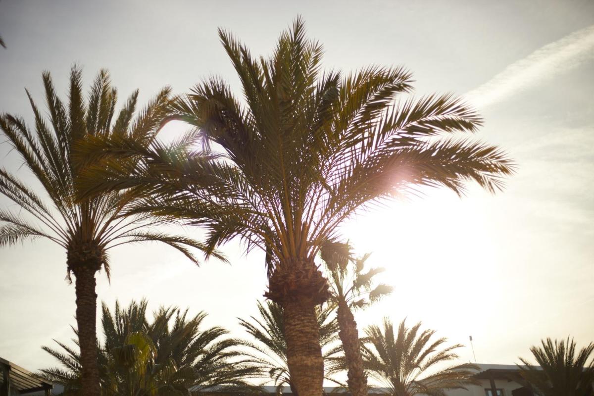 Secrets Lanzarote Resort & Spa - Adults Only (+18)