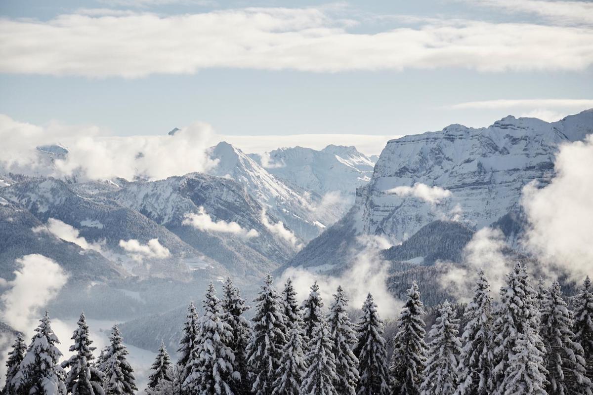 Hirschen - Fine Hotel, Restaurant & Spa