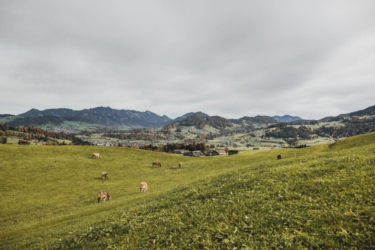 Hirschen - Fine Hotel, Restaurant & Spa