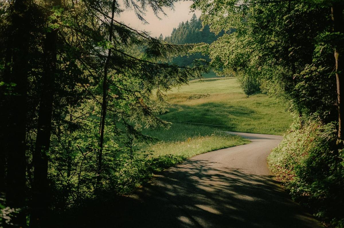 Hirschen - Fine Hotel, Restaurant & Spa