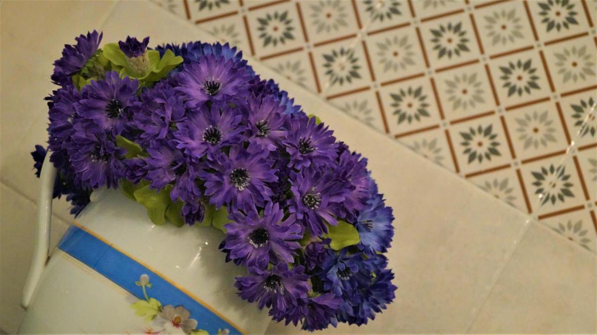 Historical Suites VVM