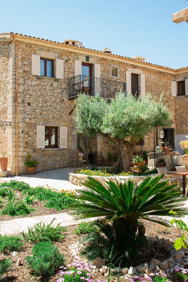 Home Hotel The Pink Pepper Tree