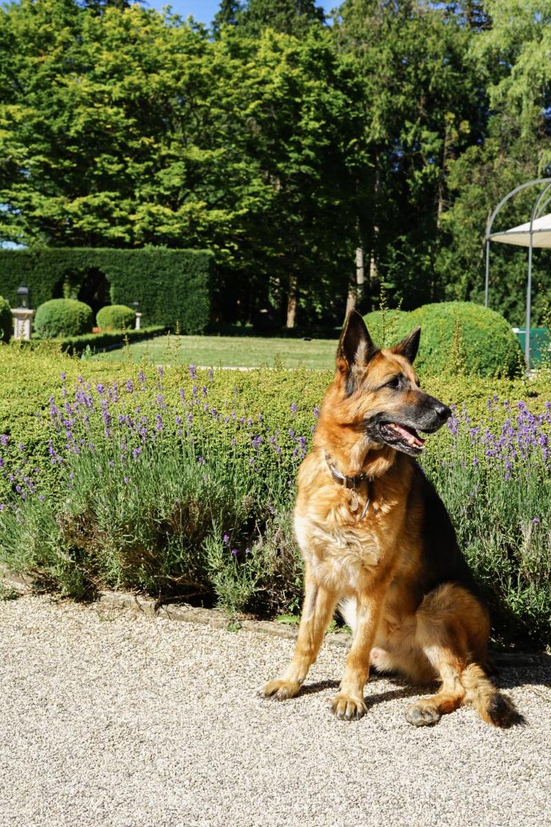 Hostellerie De Levernois