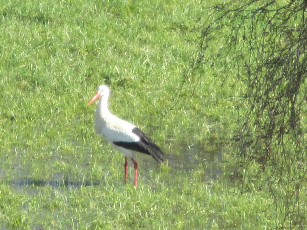 Château des Monthairons Hôtel Restaurant GastroMaison Spa privatif