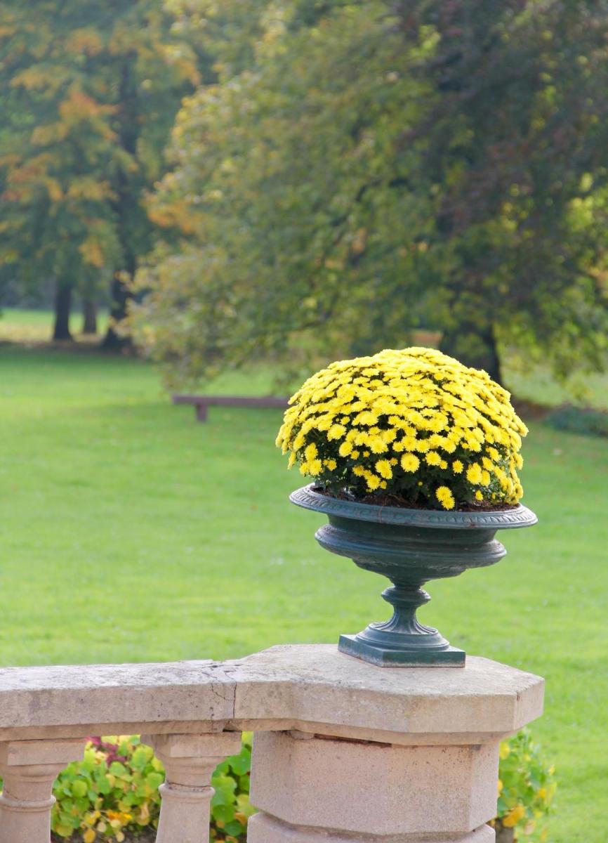 Château des Monthairons Hôtel Restaurant GastroMaison Spa privatif