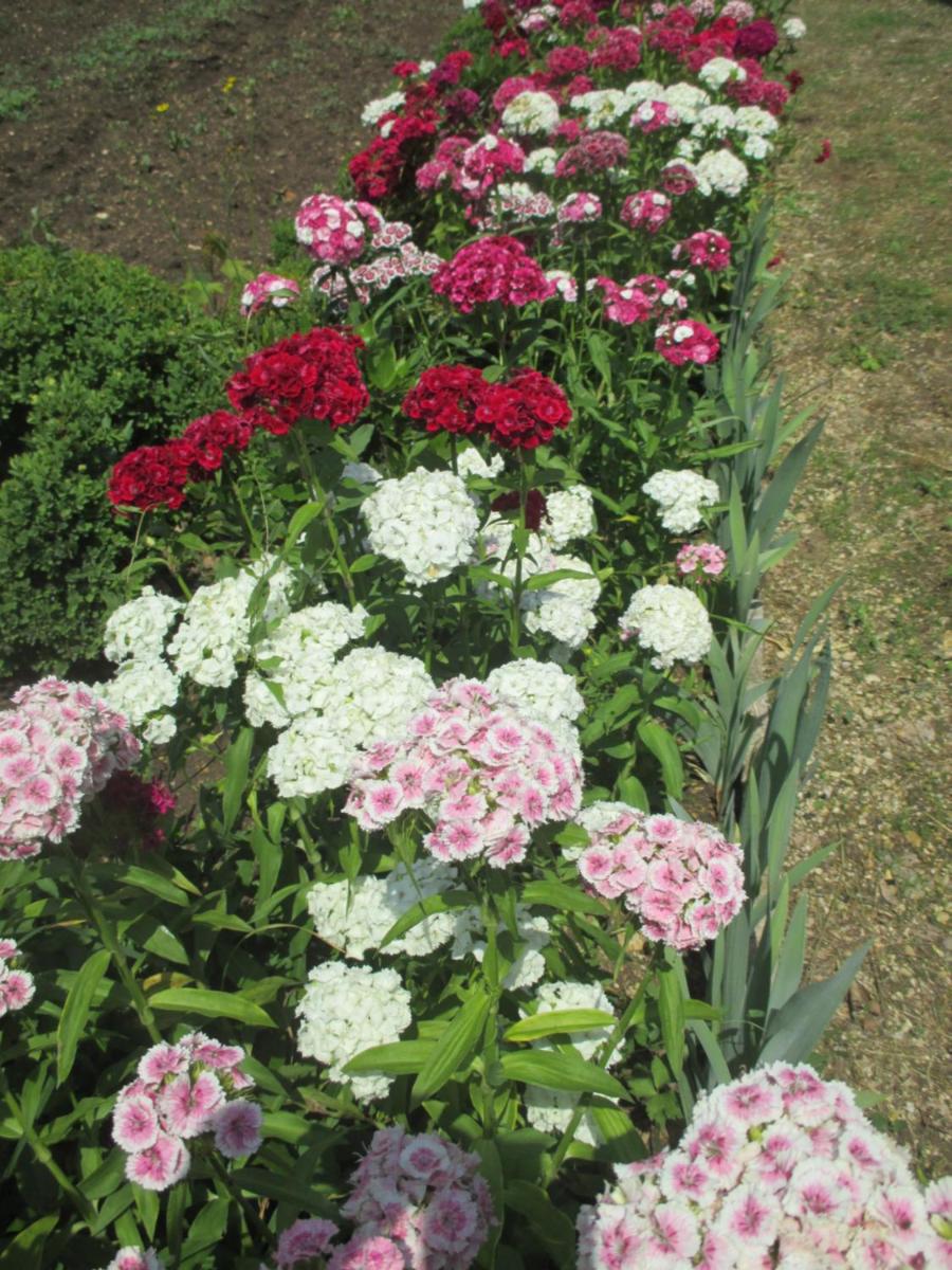 Château des Monthairons Hôtel Restaurant GastroMaison Spa privatif