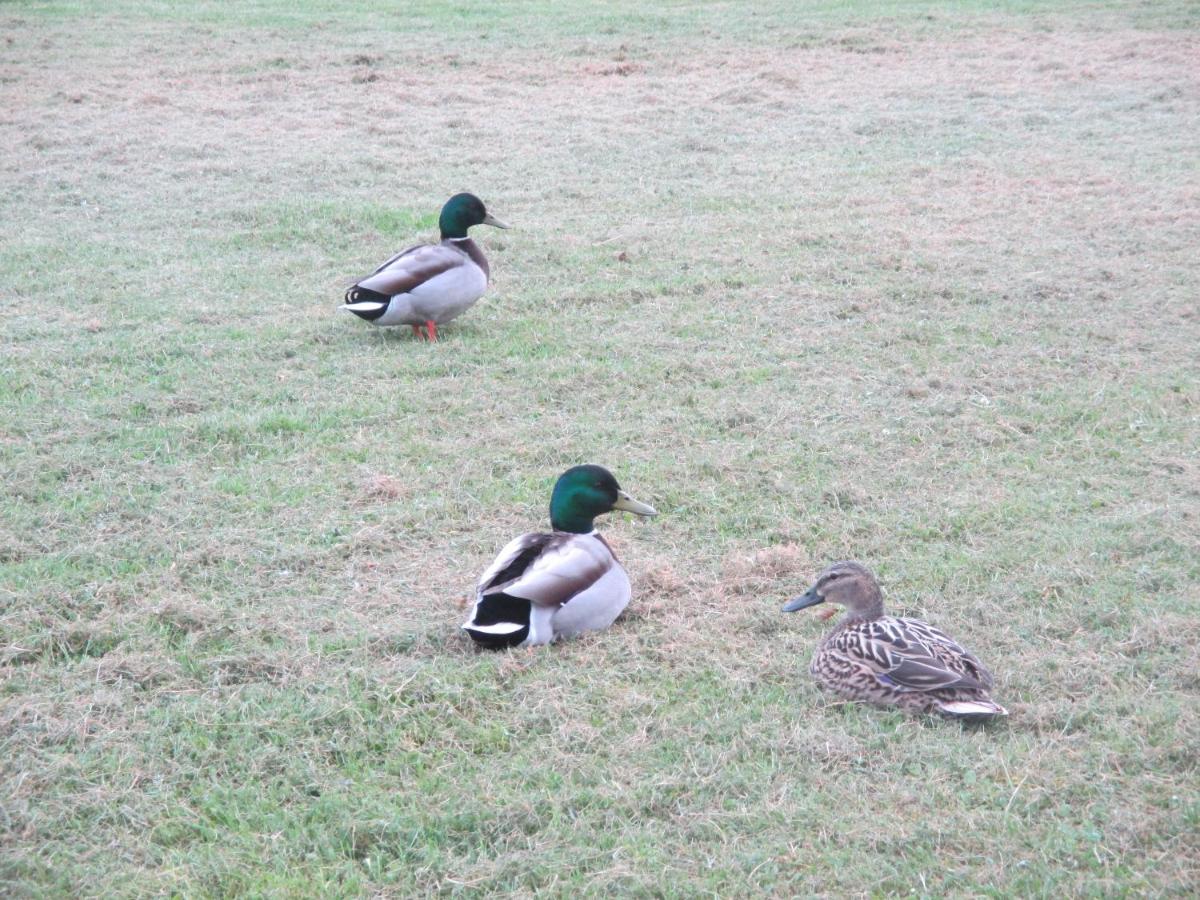 Château des Monthairons Hôtel Restaurant GastroMaison Spa privatif