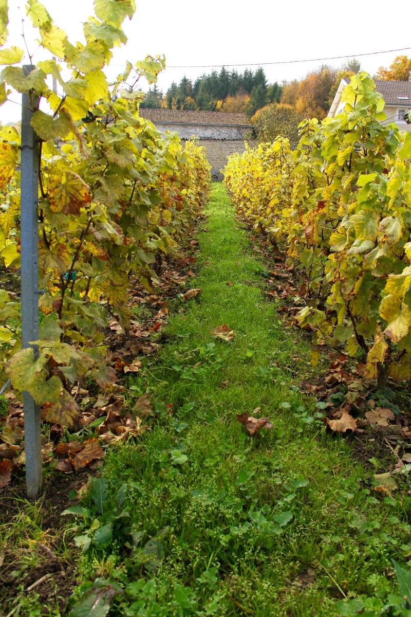 Château des Monthairons Hôtel Restaurant GastroMaison Spa privatif