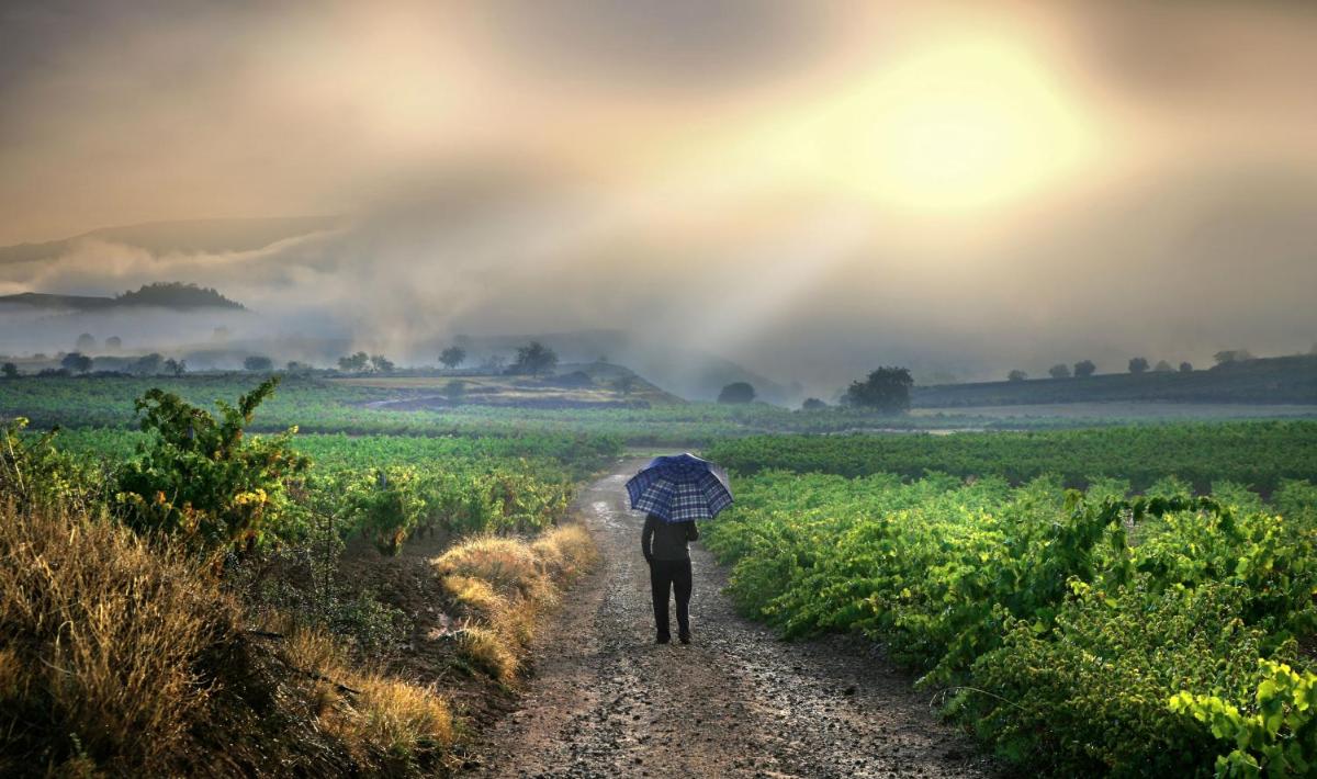 Hostería del Monasterio de San Millan