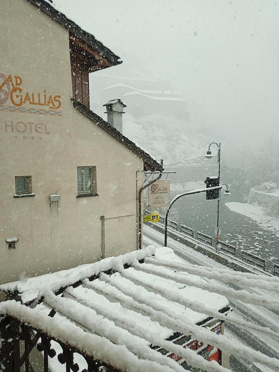 Hotel Ad Gallias