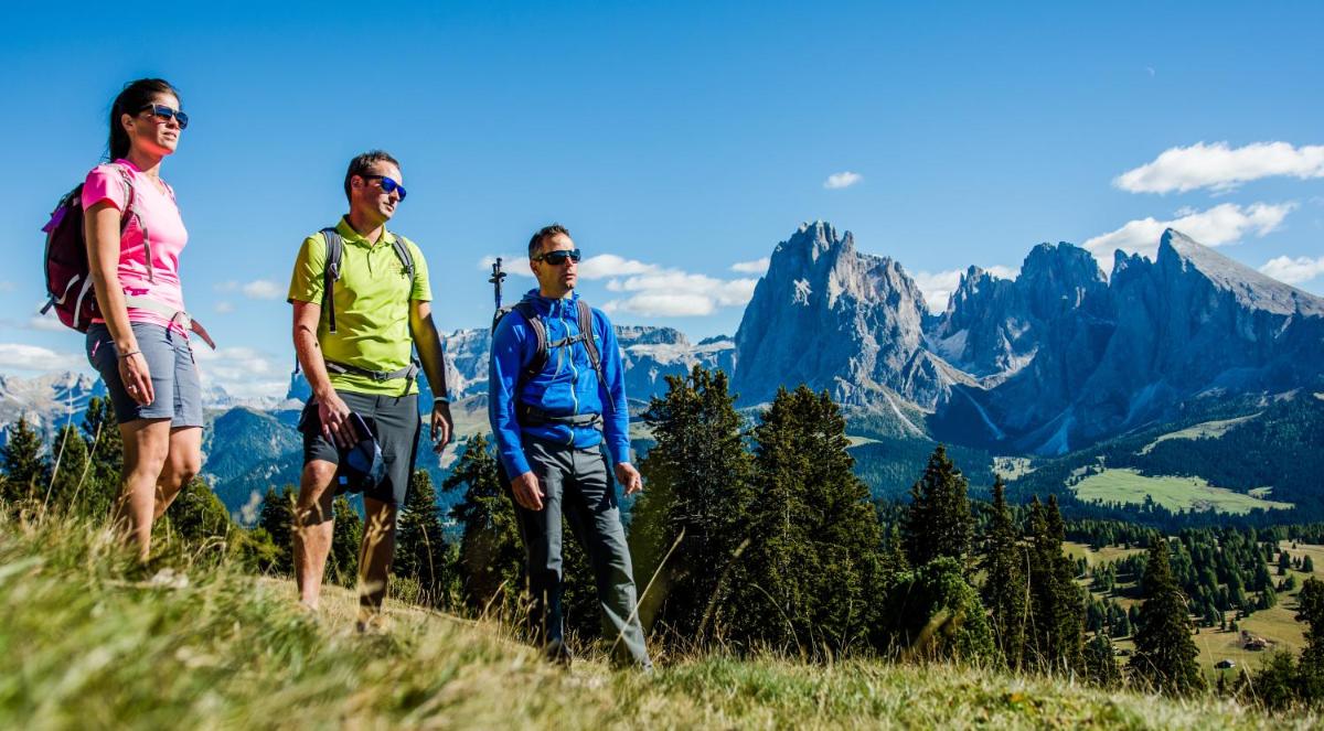 Hotel Albion Mountain Spa Resort Dolomites