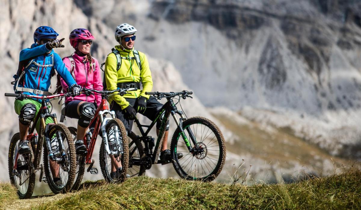 Hotel Albion Mountain Spa Resort Dolomites