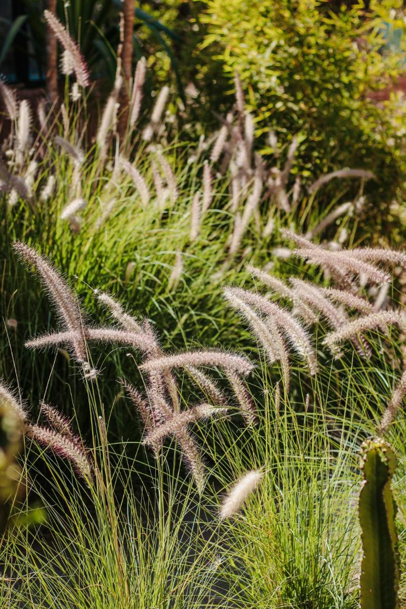 Hotel & Spa La Ferme El Dar