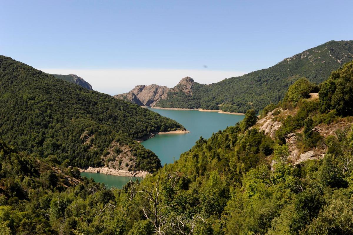 Artemisia Boutique Hotel