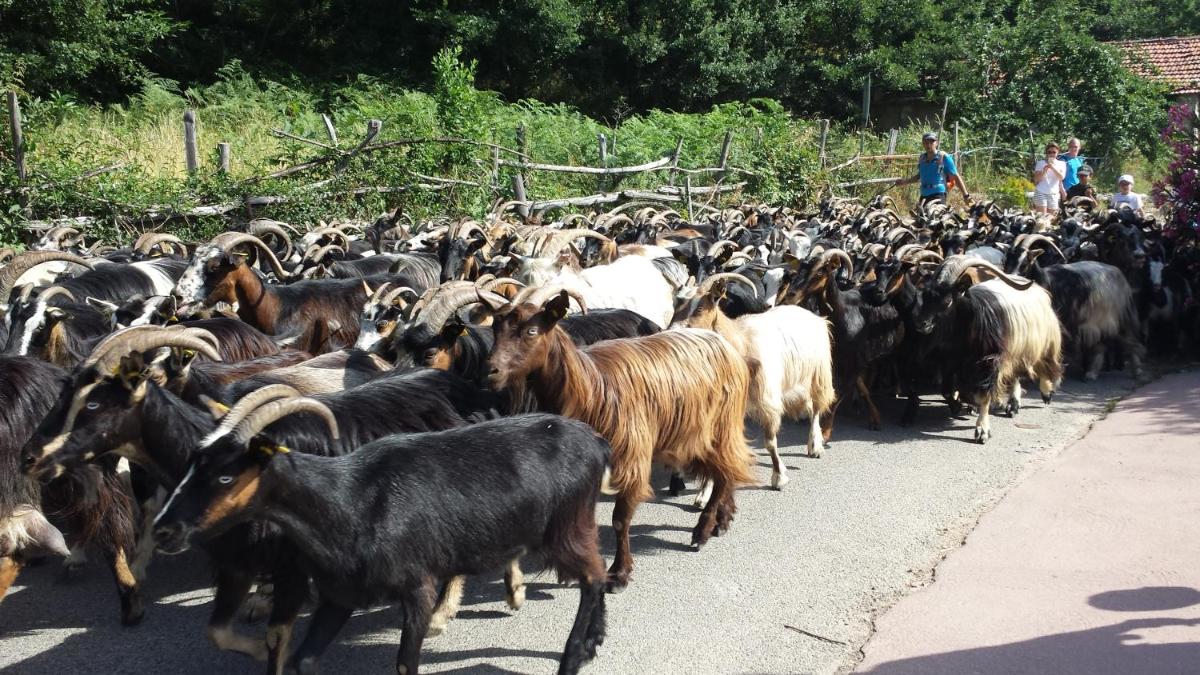 Artemisia Boutique Hotel