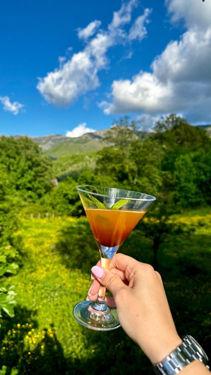 Artemisia Boutique Hotel