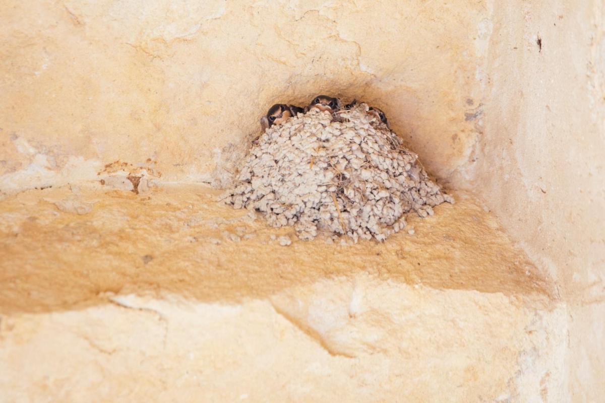 Hotel Baglio Catalano