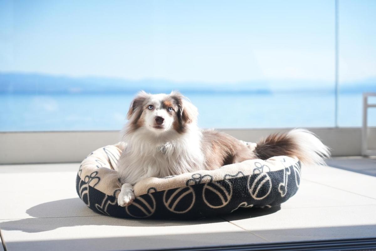 Bevanda Hotel & Restaurant - Unique Adriatic