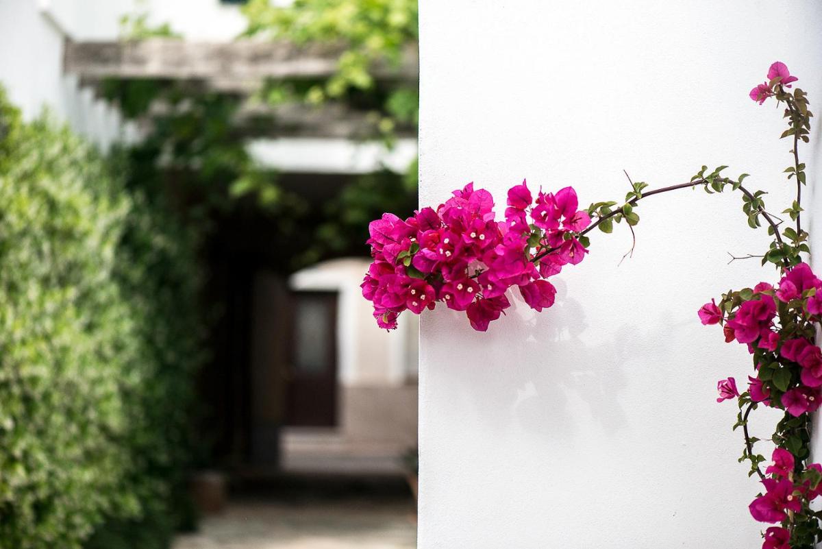 Coliving AdD LiVitum