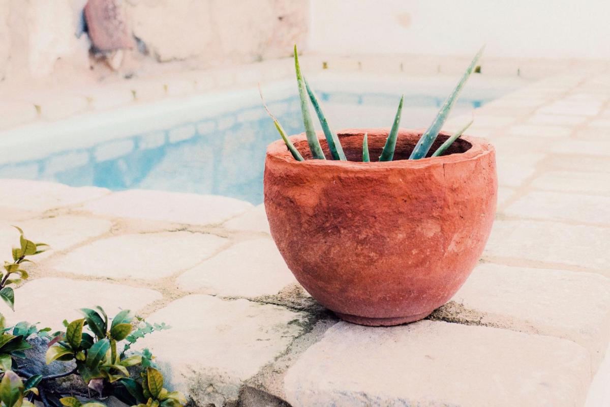 Coliving AdD LiVitum