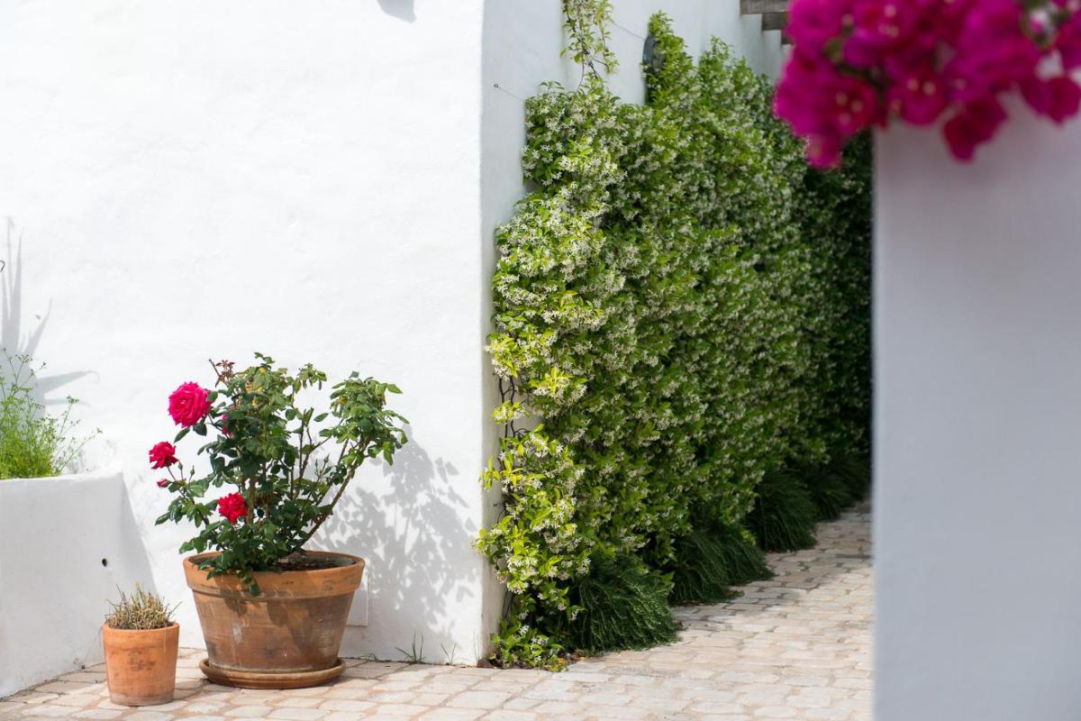 Coliving AdD LiVitum