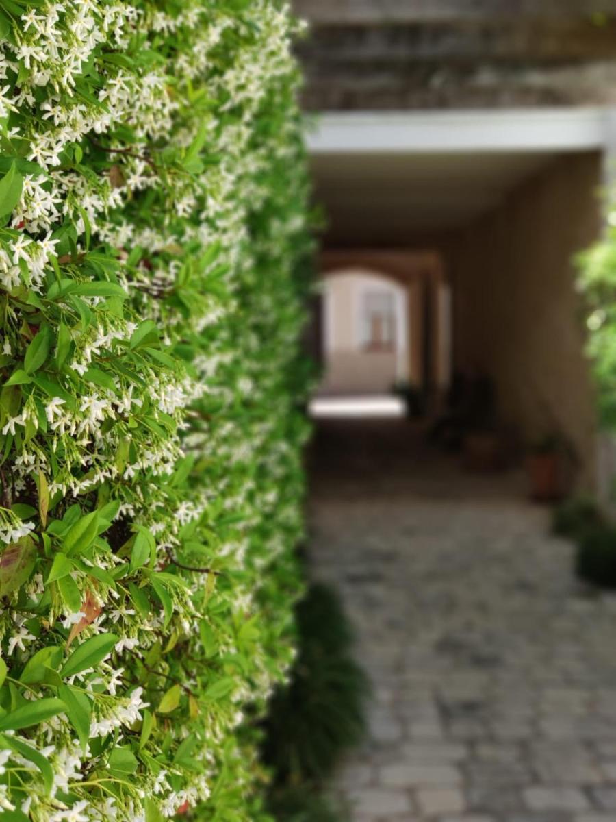 Coliving AdD LiVitum