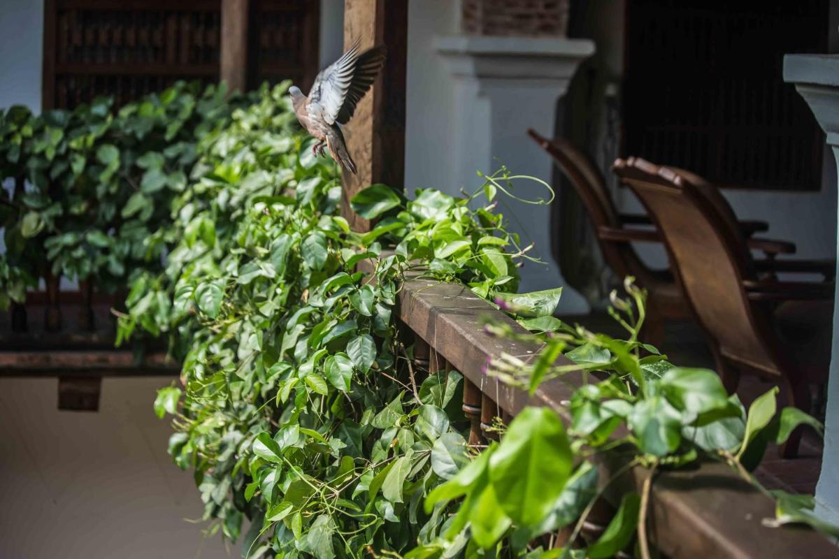 Hotel Boutique Casa Del Arzobispado