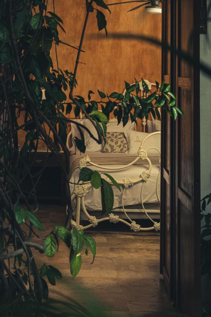 Hotel Boutique Casa Del Arzobispado