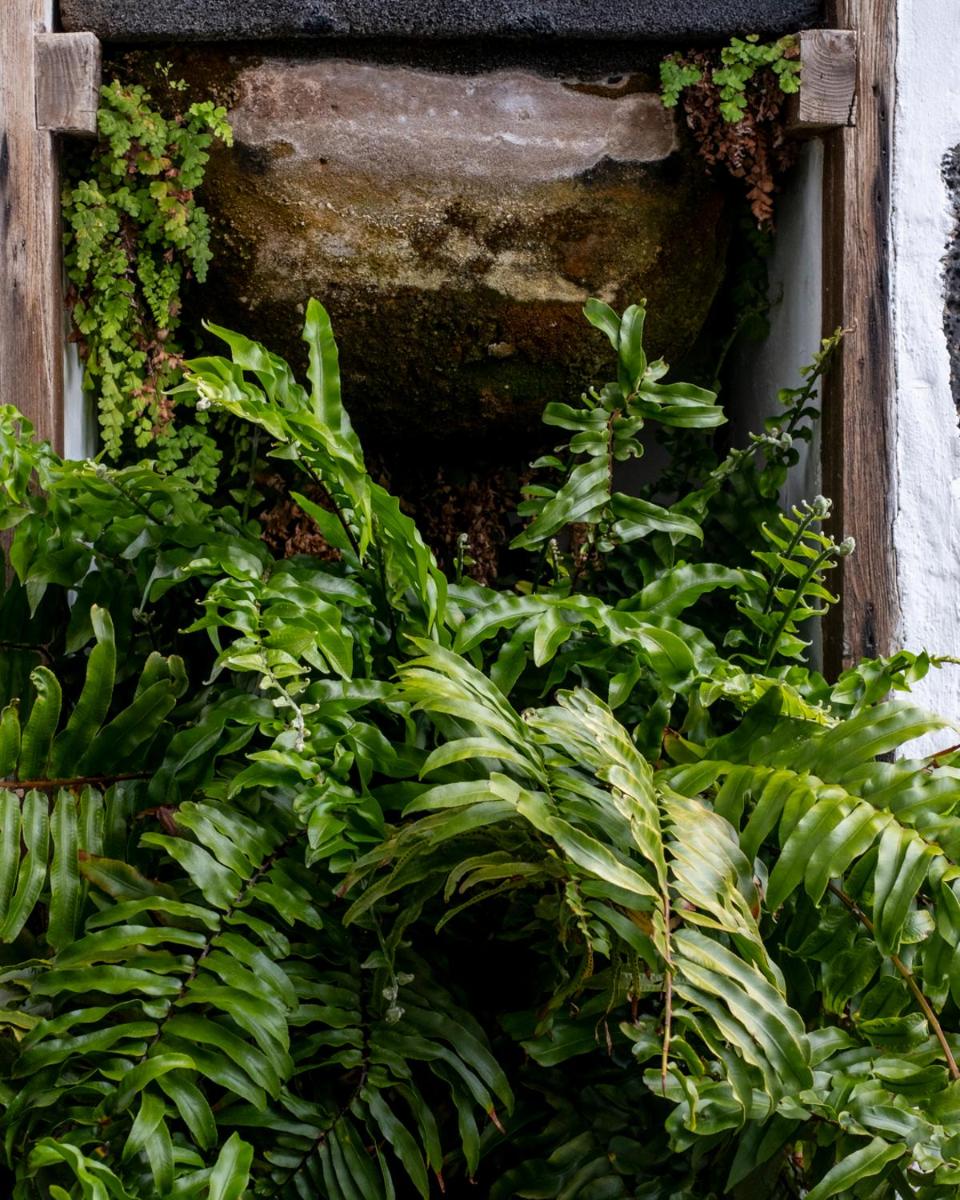 Hotel Boutique Palacio Ico - Only Adults