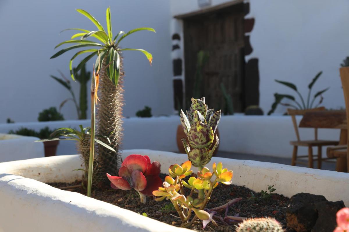 Hotel Boutique Palacio Ico - Only Adults