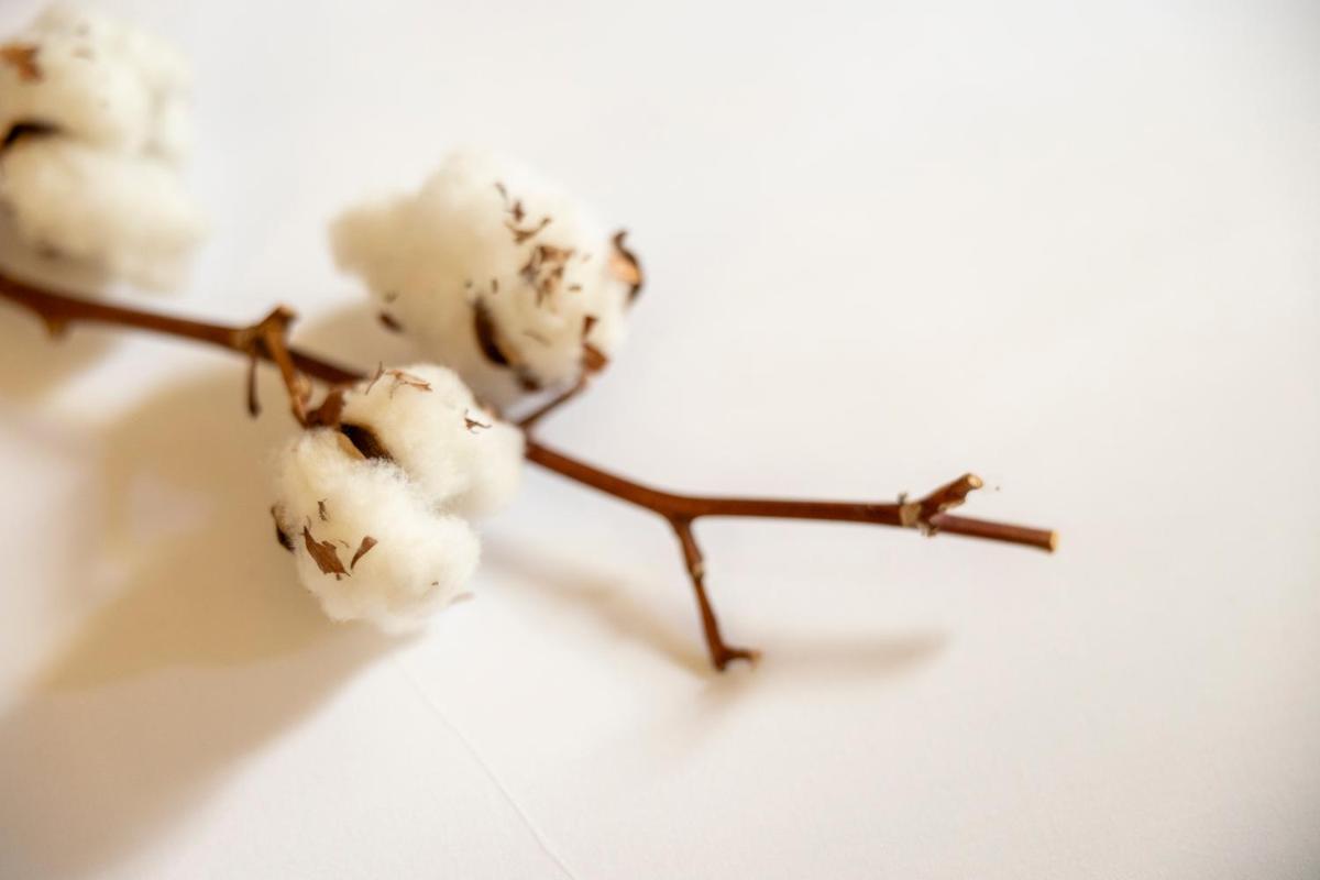 Hotel Boutique Patio del Posadero