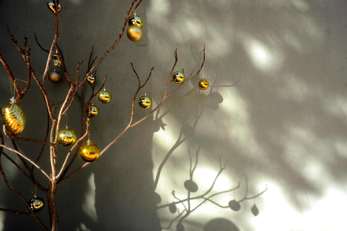 Hotel Boutique Pinar by Bossh! Hotels