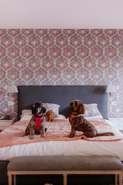 Hotel Boutique Pinar by Bossh! Hotels