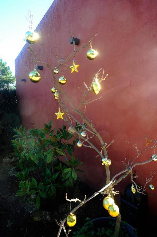 Hotel Boutique Pinar by Bossh! Hotels